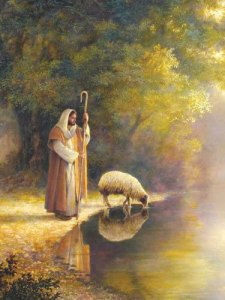 good shepherd
