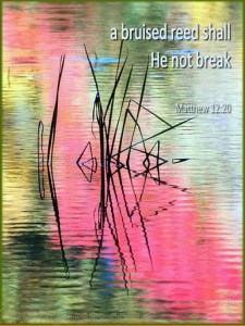 Matthew 12-20 A Bruised Reed-portrait