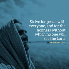 Strive For Peace