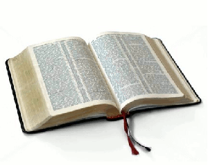 page-turning-bible-animation-21