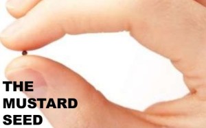 mustard-seed small.jpg